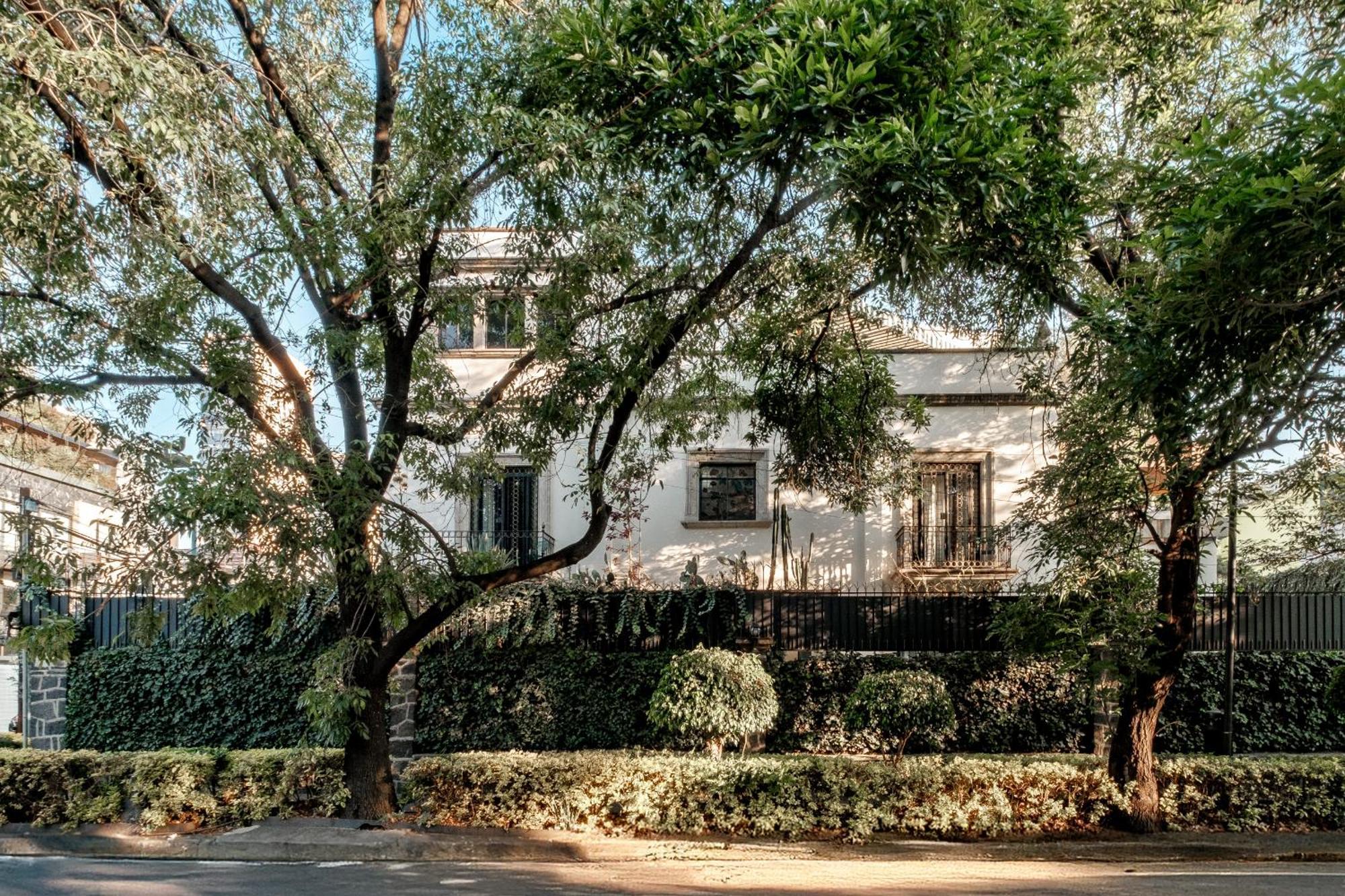 Pug Seal Polanco Anatole France Hotel Mexico City Exterior photo